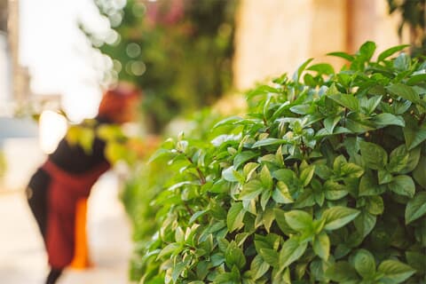 Gallery village-section-19.jpg